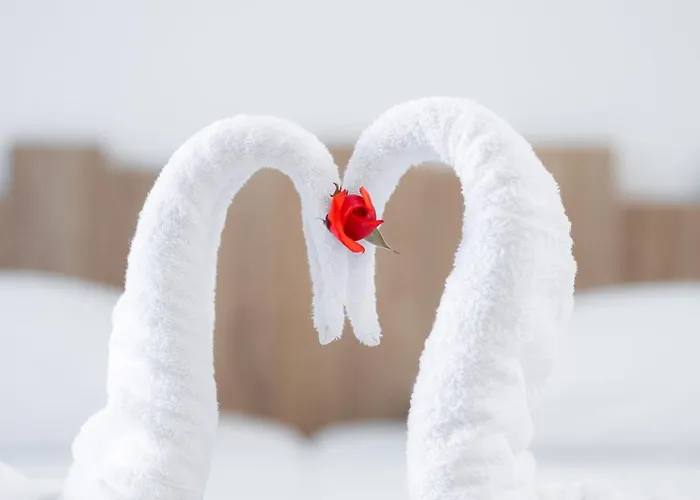 Pollis 赫索尼索斯