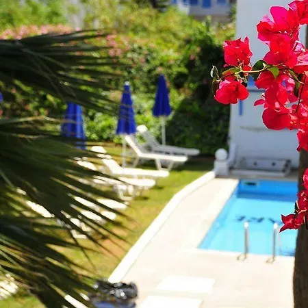 Pollis Hersonissos (Crete)